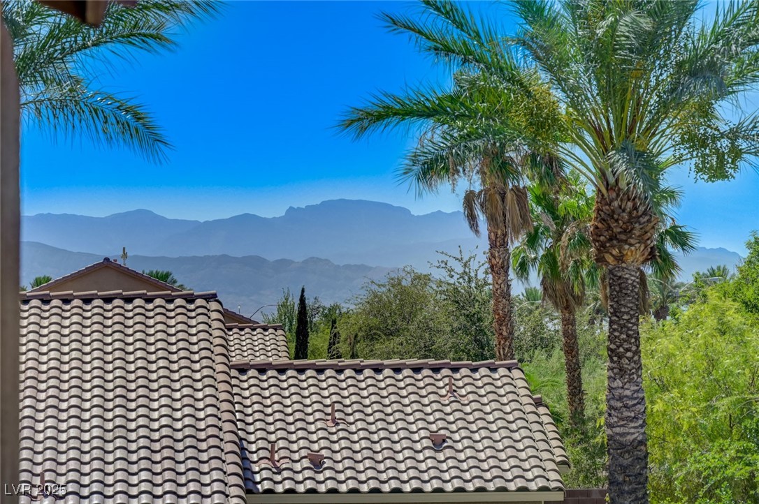 2208 Saddlebill Court Property Photo 65
