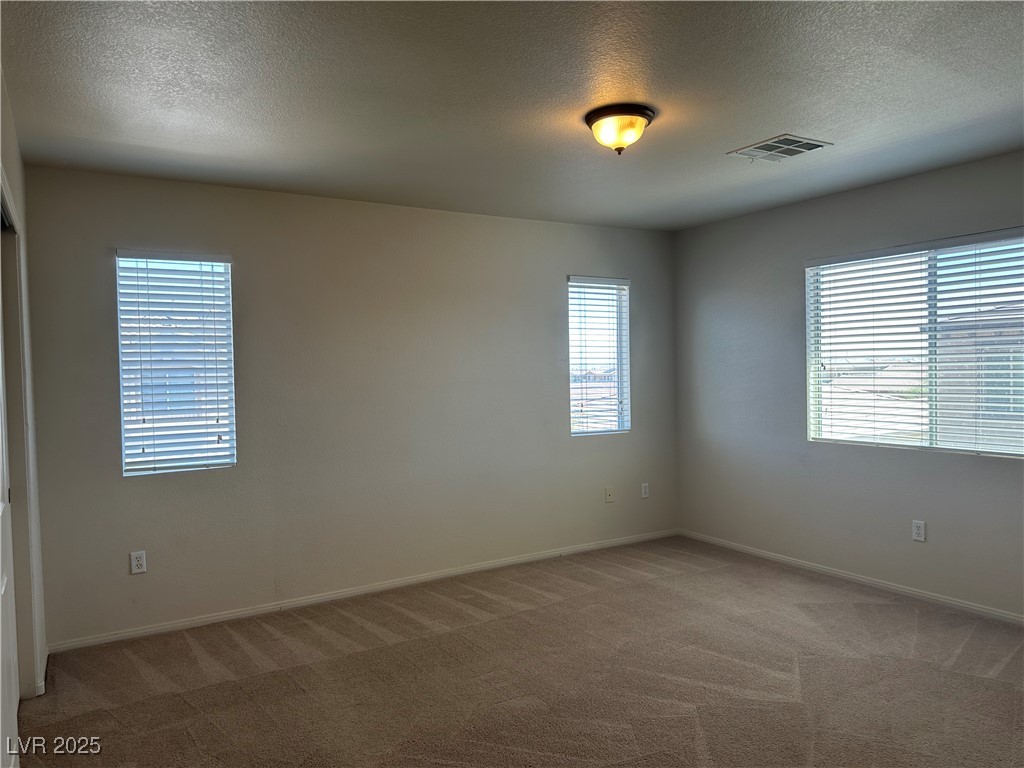 6712 Canyon Maple Street Property Photo 18