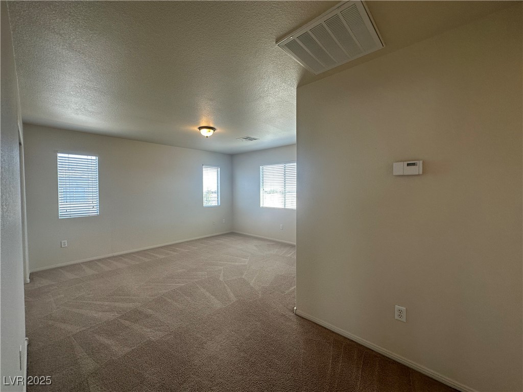 6712 Canyon Maple Street Property Photo 19