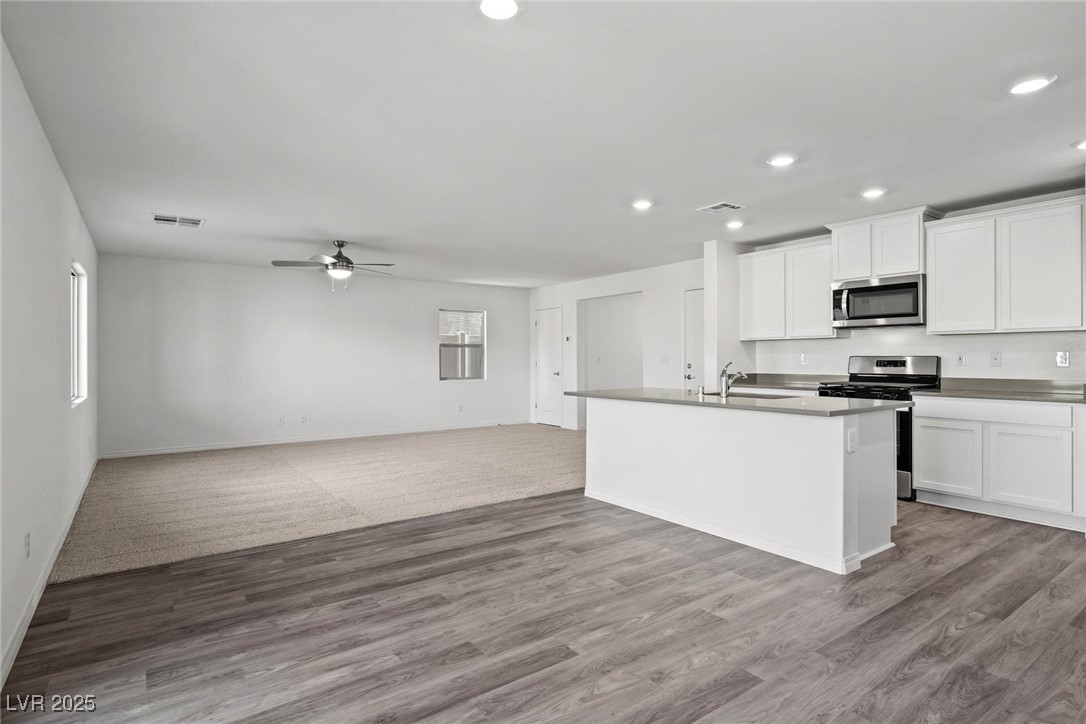 1655 Desert Path Avenue Property Photo 3