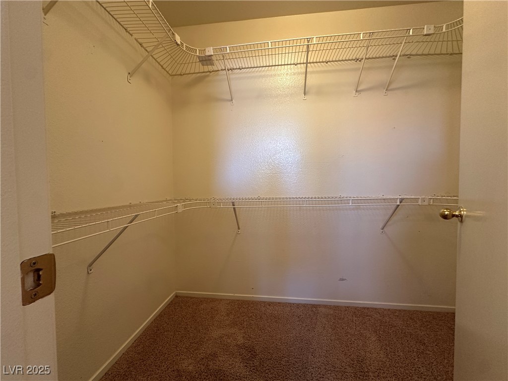 8700 Raindrop Canyon Avenue Property Photo 15