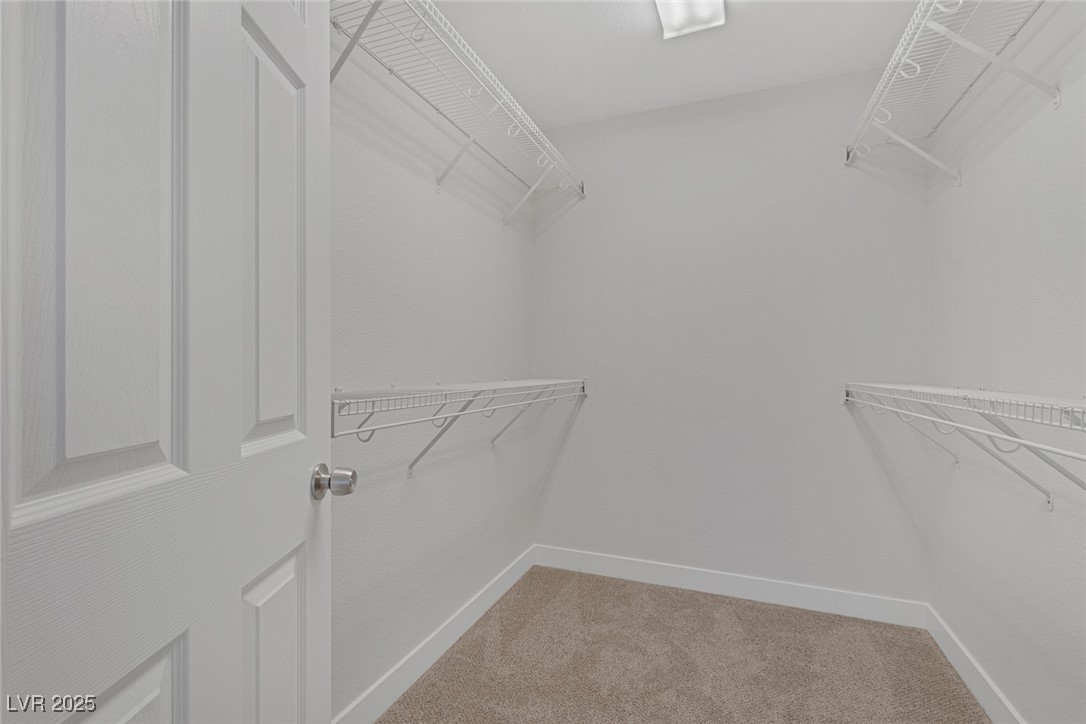 589 Brinkburn Point Avenue Property Photo 23