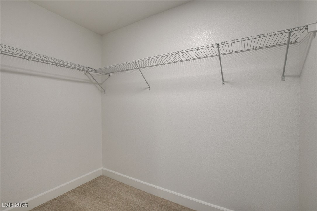 8729 Pitch Fork Avenue Property Photo 50