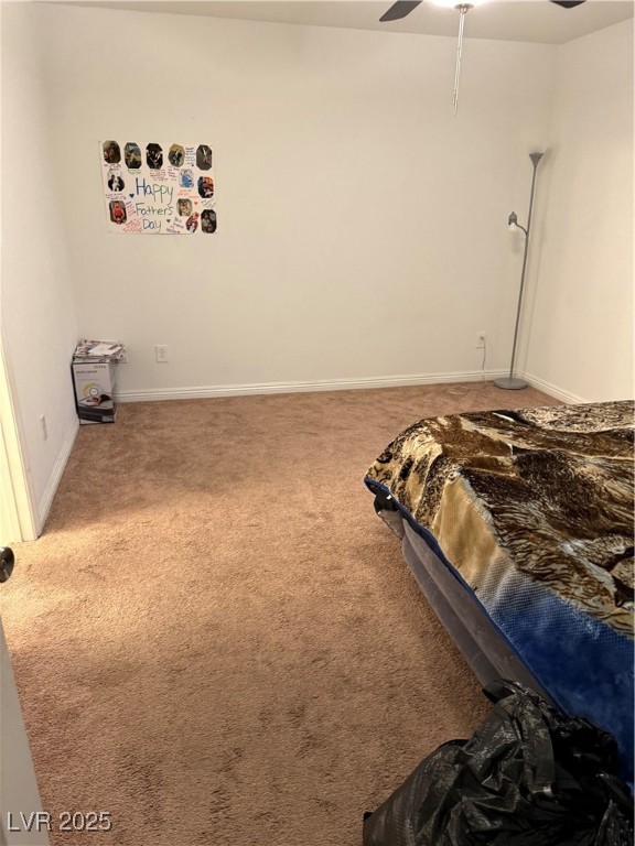 4636 Dover Straight Street Property Photo 11