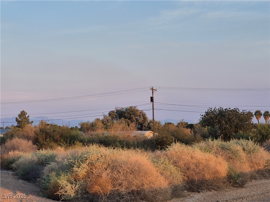 Yamashita Property Photo 6