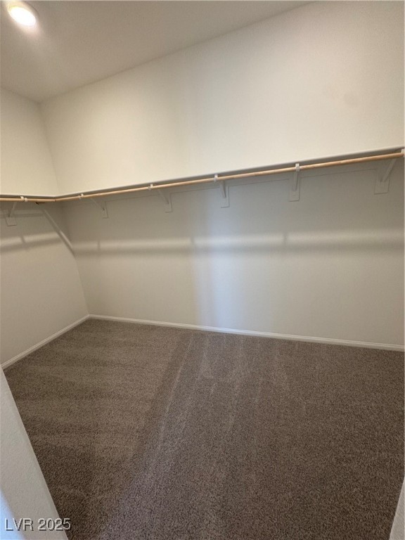 3033 Dagny Street Property Photo 20