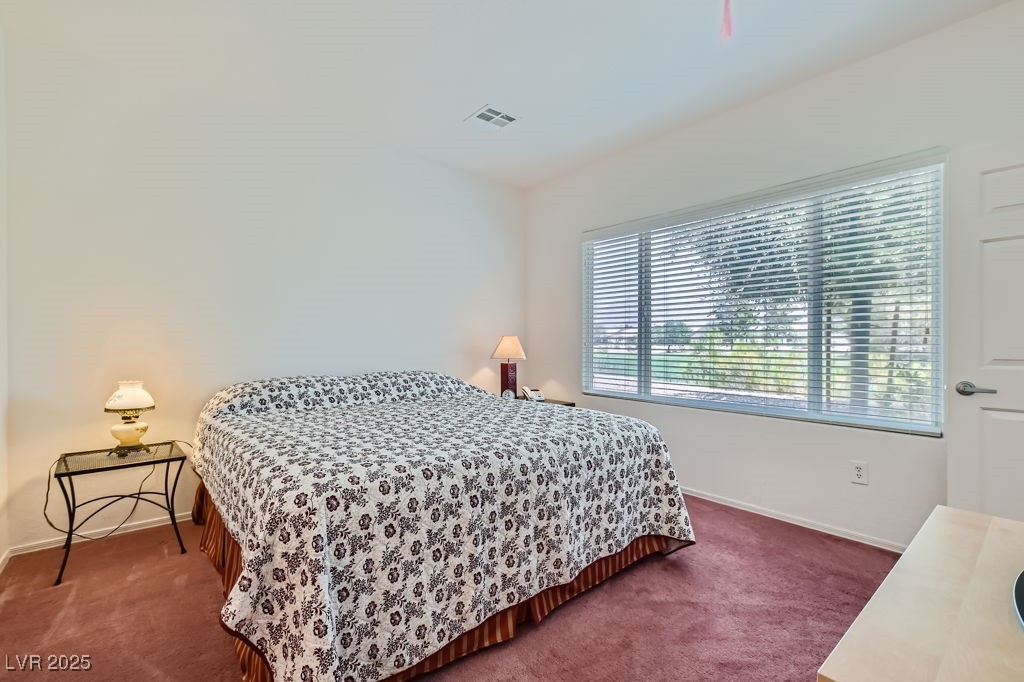 2220 Carrier Dove Way Property Photo 15