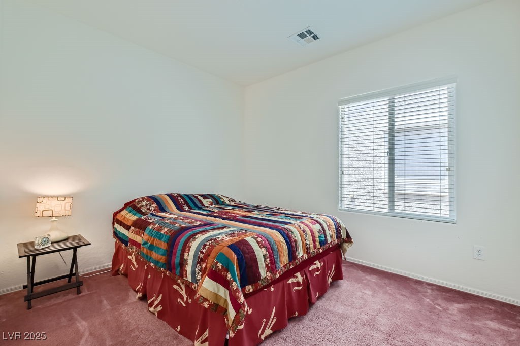 2220 Carrier Dove Way Property Photo 21