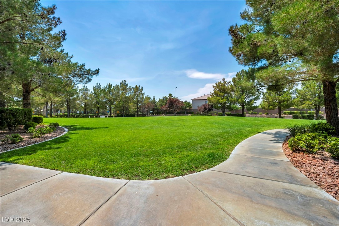 8208 Seven Falls Street Property Photo 52