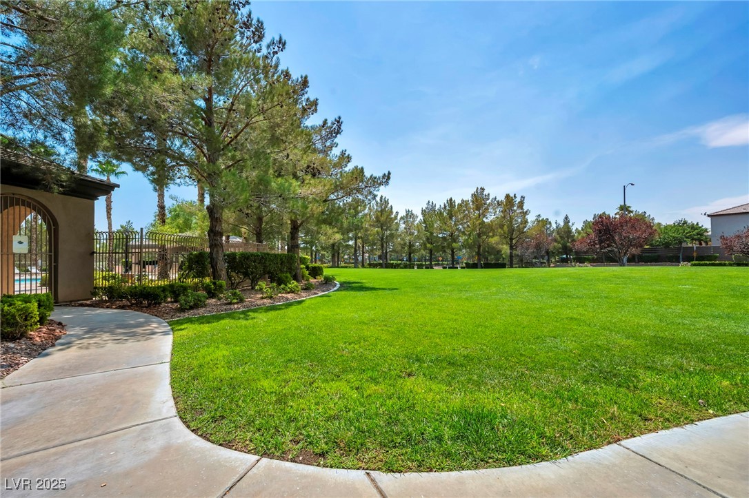 8208 Seven Falls Street Property Photo 53