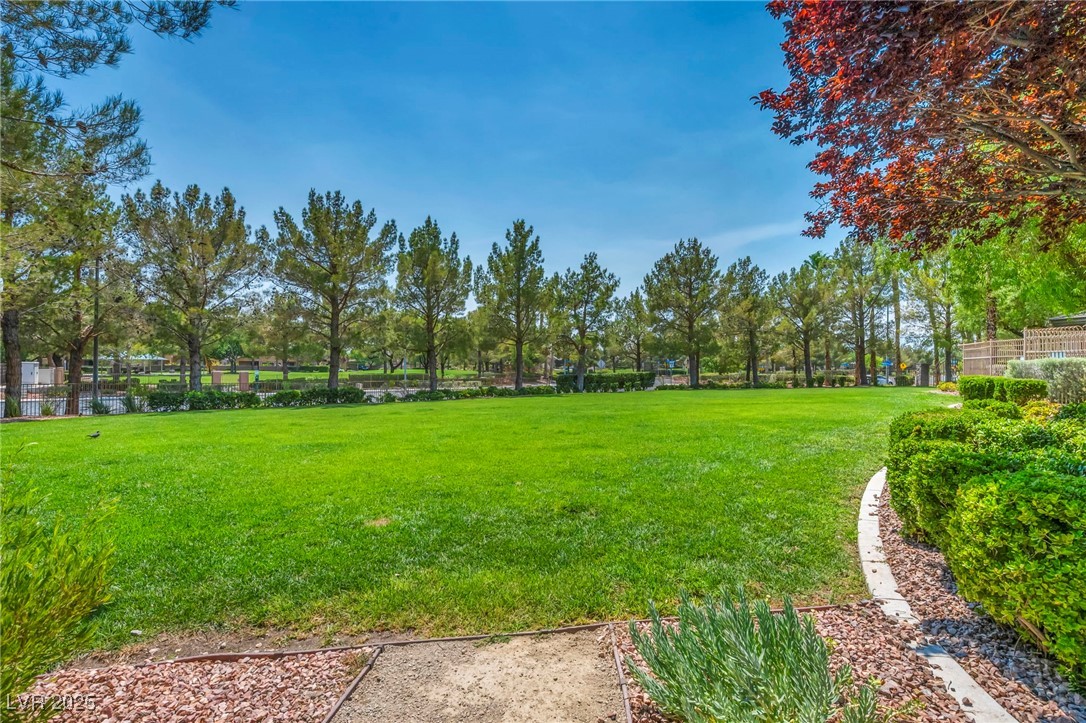 8208 Seven Falls Street Property Photo 54