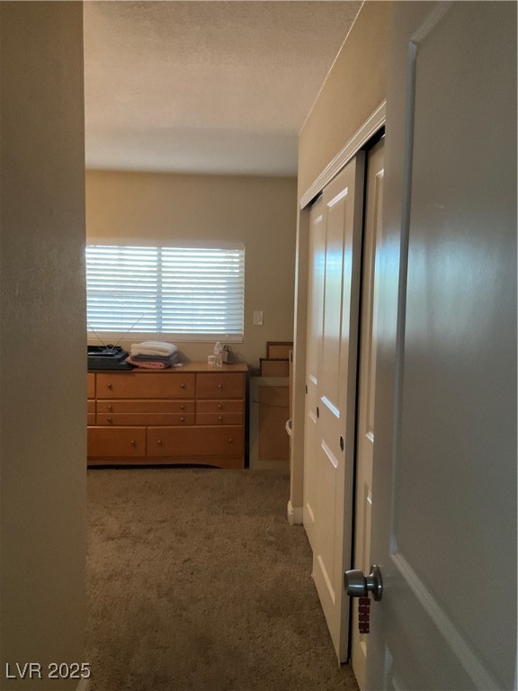 3982 Saguaro Lane Property Photo 37