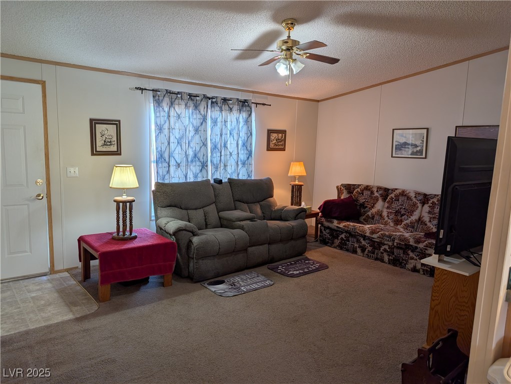 735 Condie Street Property Photo 11