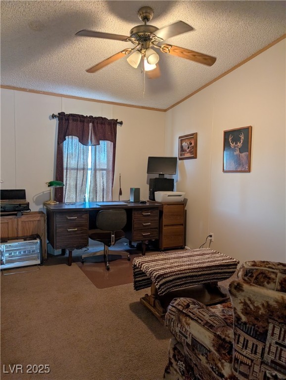 735 Condie Street Property Photo 22