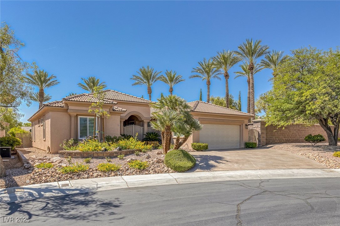 10679 Riva De Fiore Avenue Property Photo 2