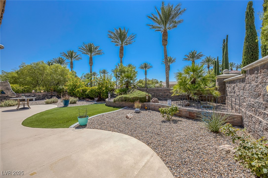 10679 Riva De Fiore Avenue Property Photo 43