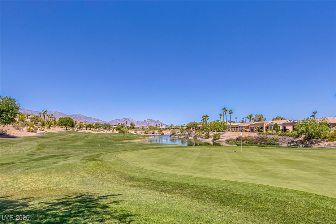 10679 Riva De Fiore Avenue Property Photo 45