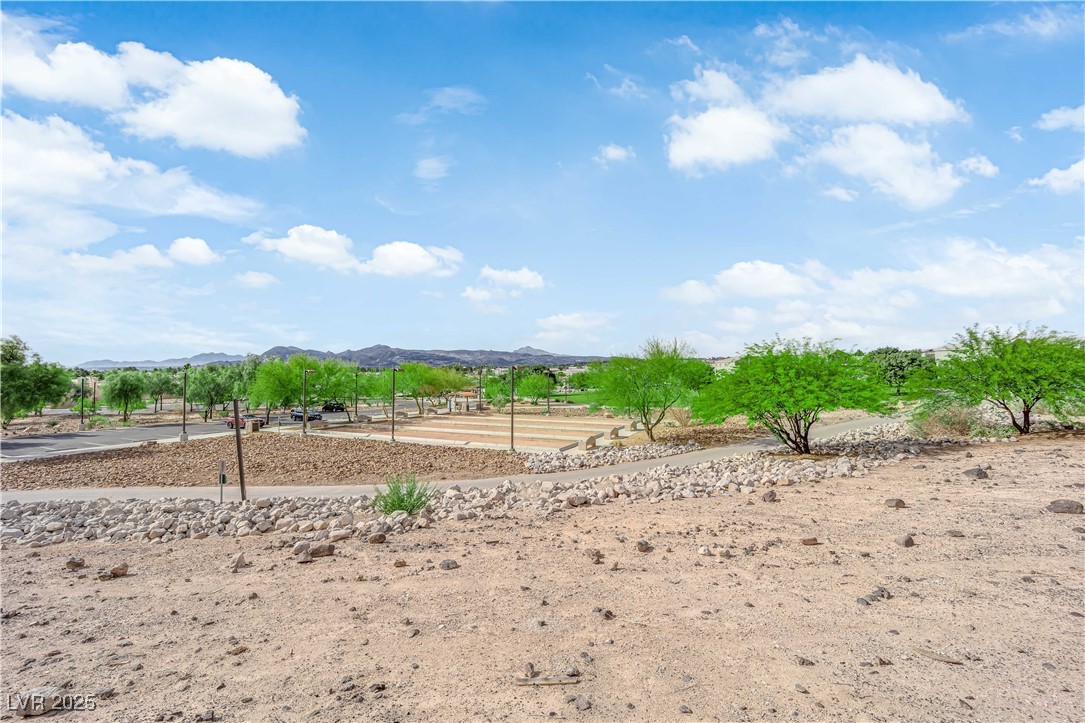 1611 Buffalo Trail Drive Property Photo 25