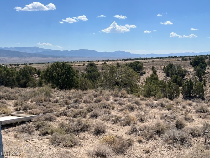 Pinion Pine Property Photo 1