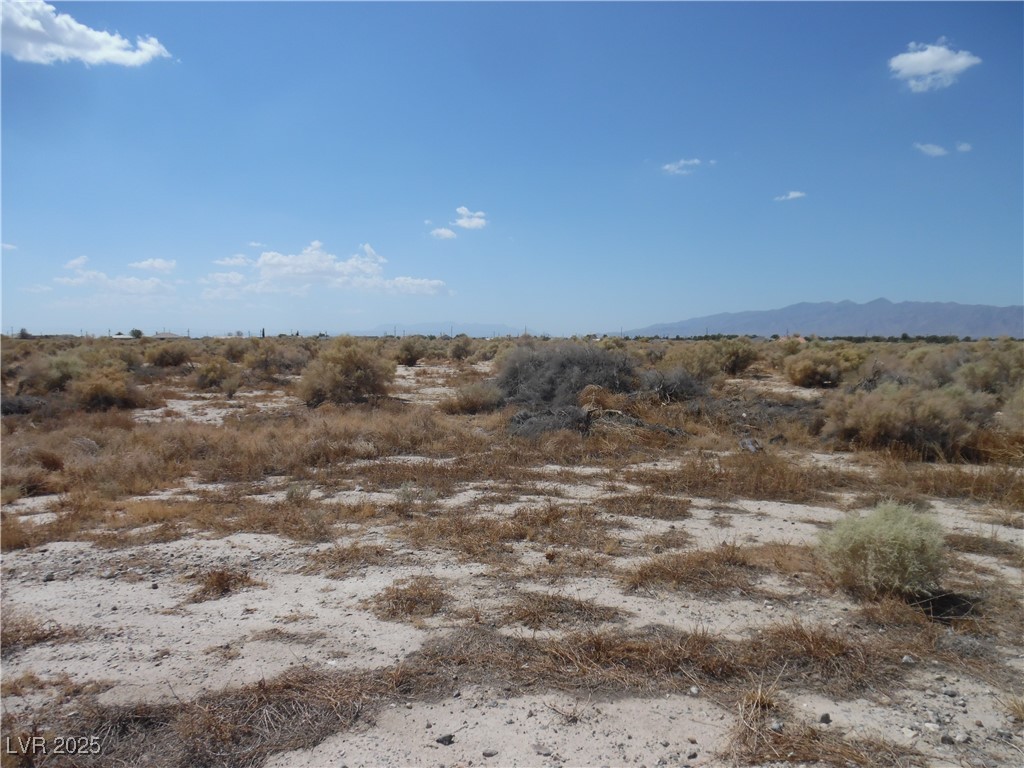 2001 Casino Street Property Photo 3