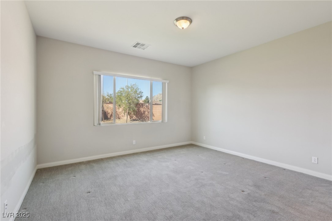 4001 Turquoise Falls Street Property Photo 33