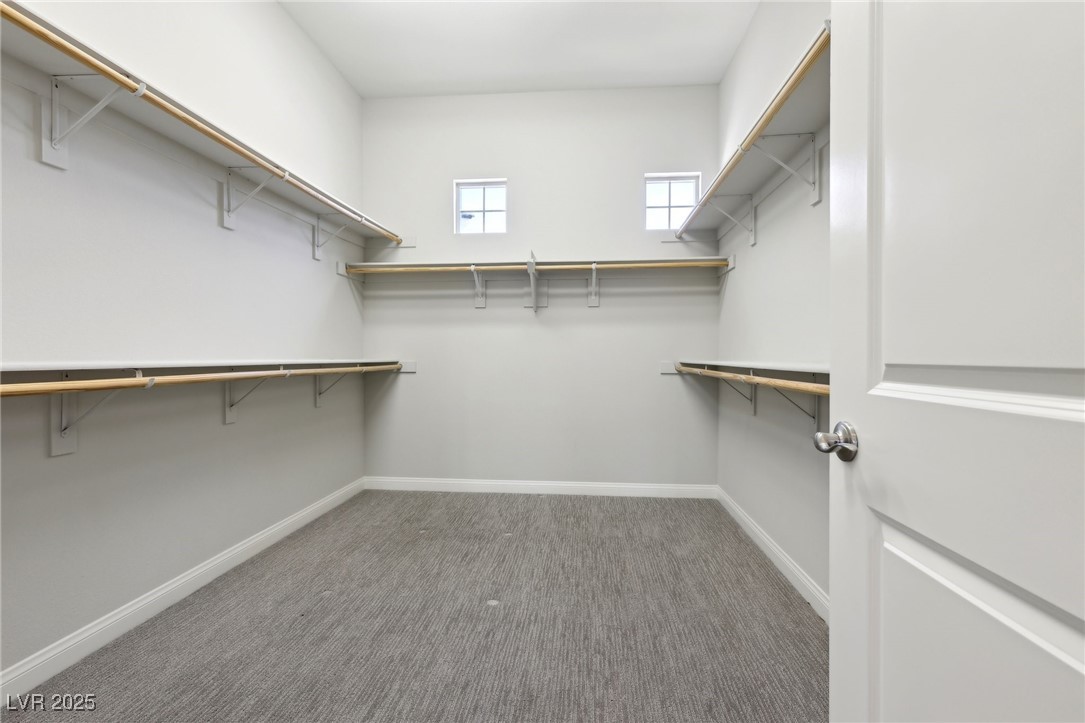 4001 Turquoise Falls Street Property Photo 40