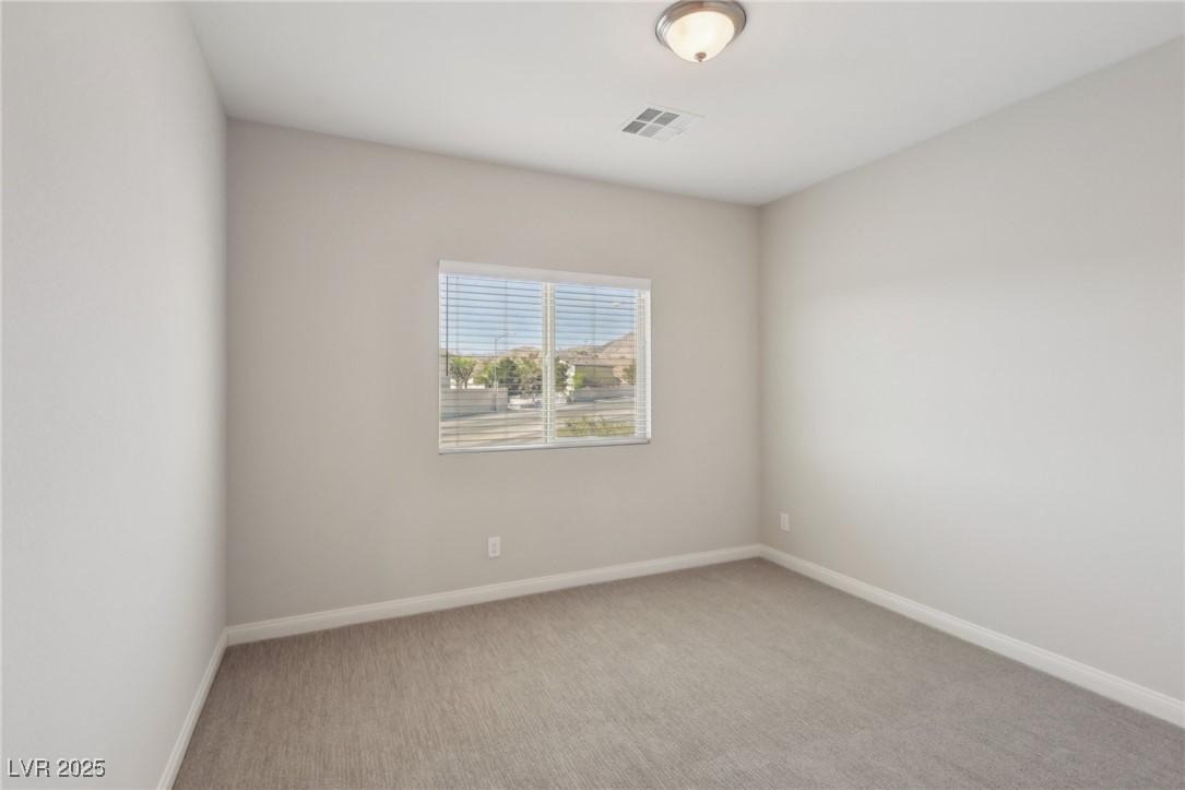 4001 Turquoise Falls Street Property Photo 47