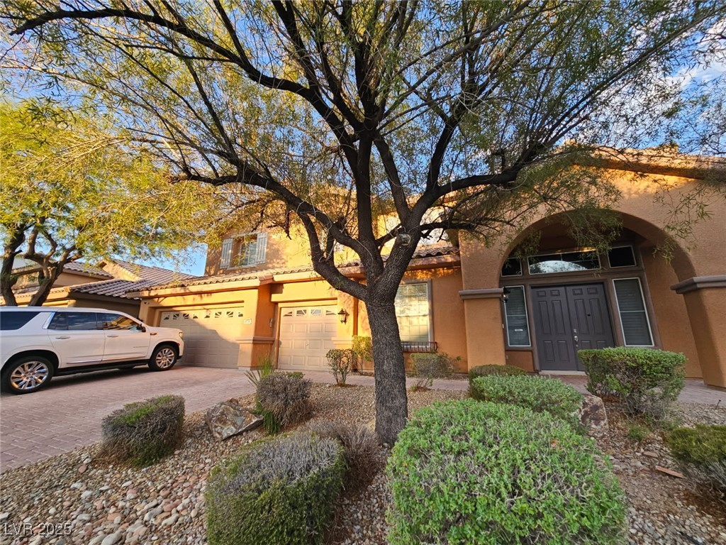 9636 Trattoria Street Property Photo 3