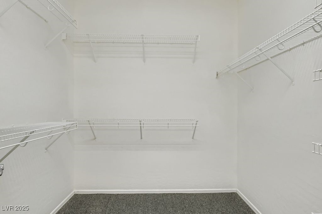 2509 Great Auk Avenue Property Photo 23