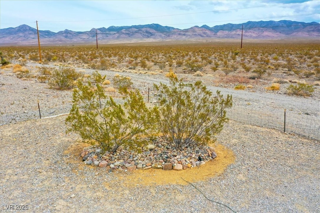 520 Burt Street Property Photo 42