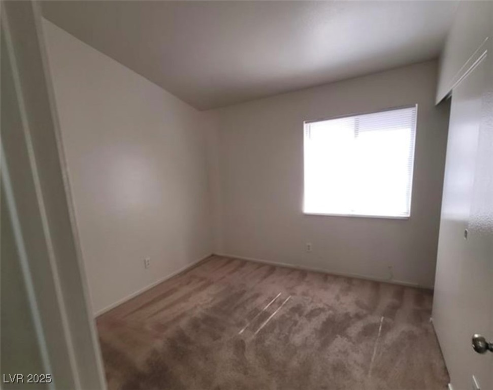 4856 Minturn Avenue Property Photo 21