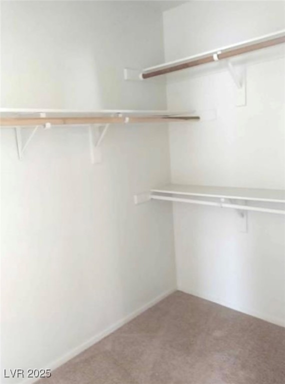 4856 Minturn Avenue Property Photo 25