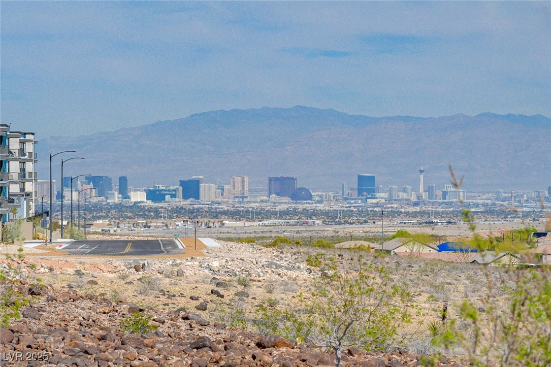 2662 Chance Canyon Street Property Photo 49