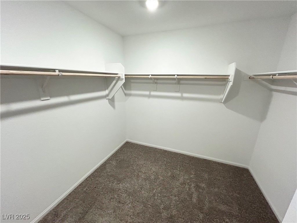 5676 Golden Orchard Street Property Photo 12