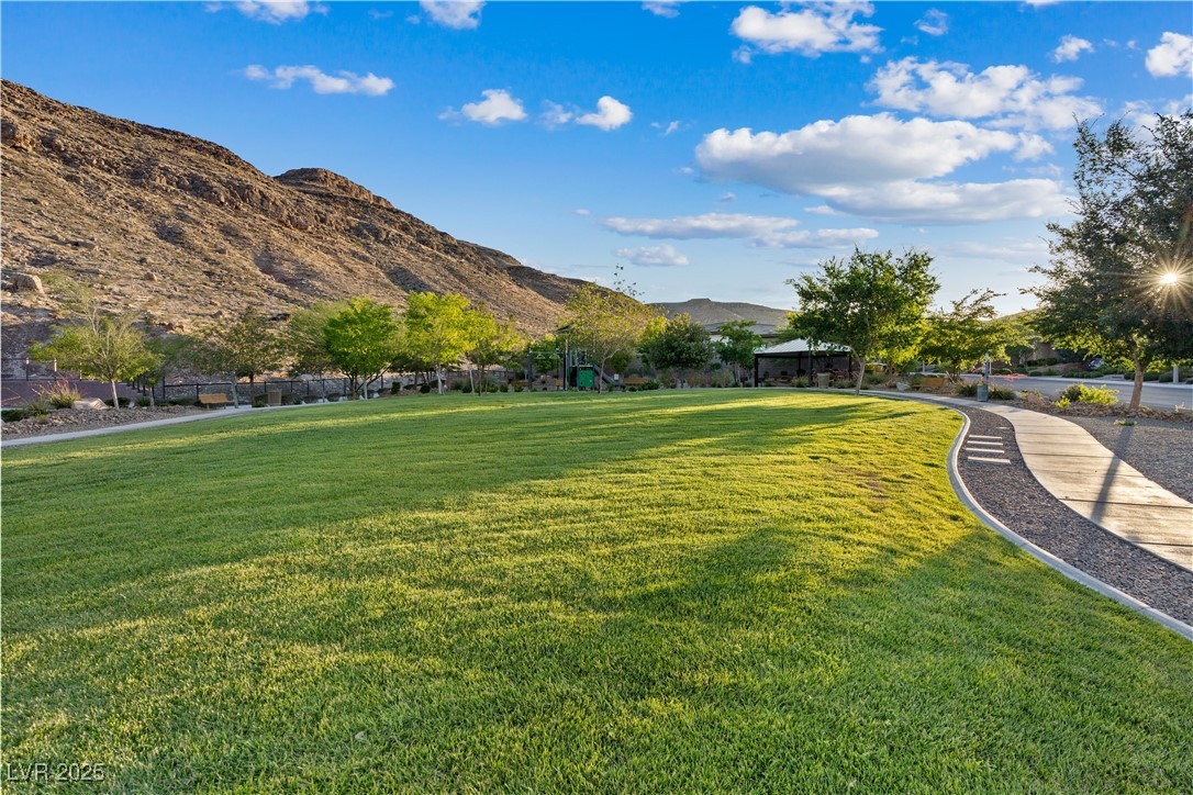 9972 Terrastone Drive Property Photo 89