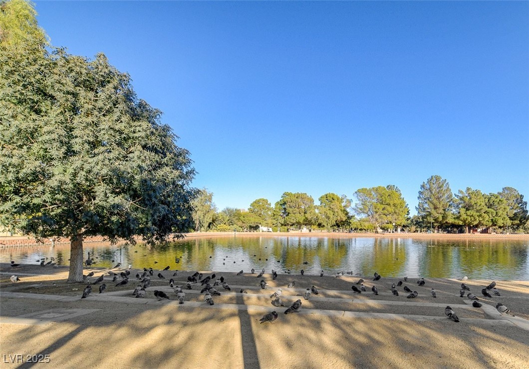 2995 East Sunset Road 209 Property Photo 40