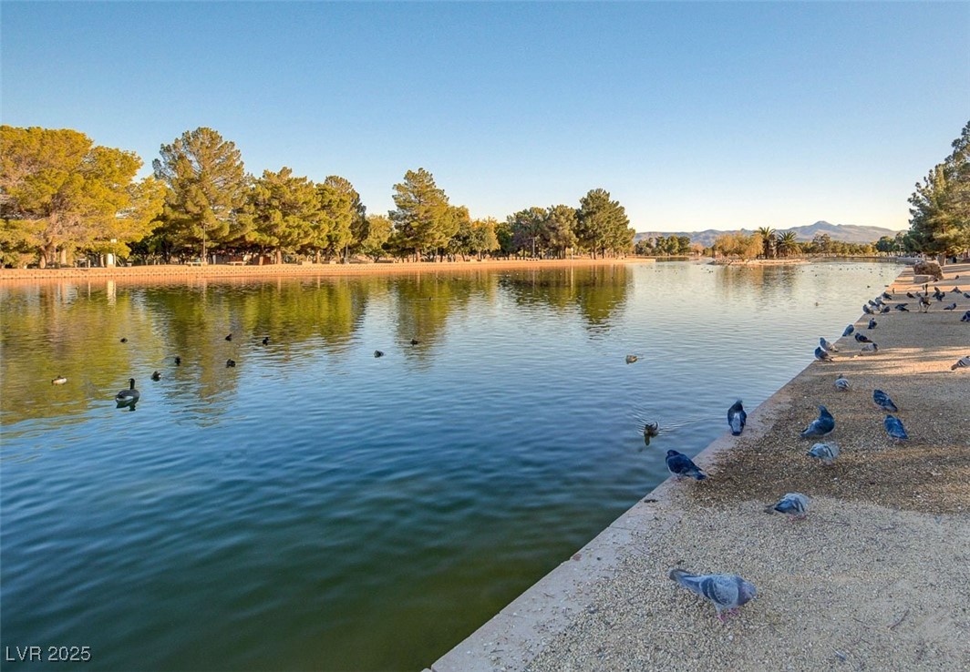 2995 East Sunset Road 209 Property Photo 41