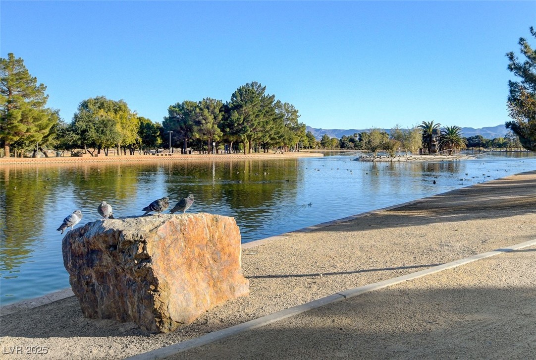 2995 East Sunset Road 209 Property Photo 42