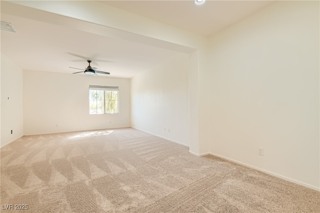 8754 Moon Crater Avenue Property Photo 39