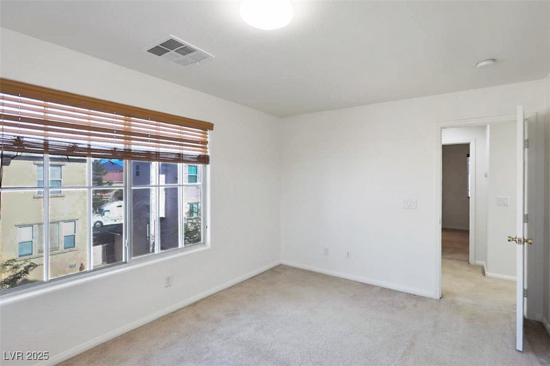 10331 Ladybug Bend Street Property Photo 19