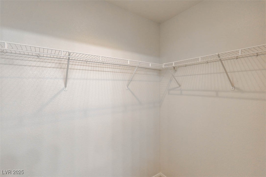 10331 Ladybug Bend Street Property Photo 21