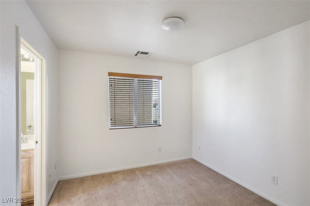 10331 Ladybug Bend Street Property Photo 23