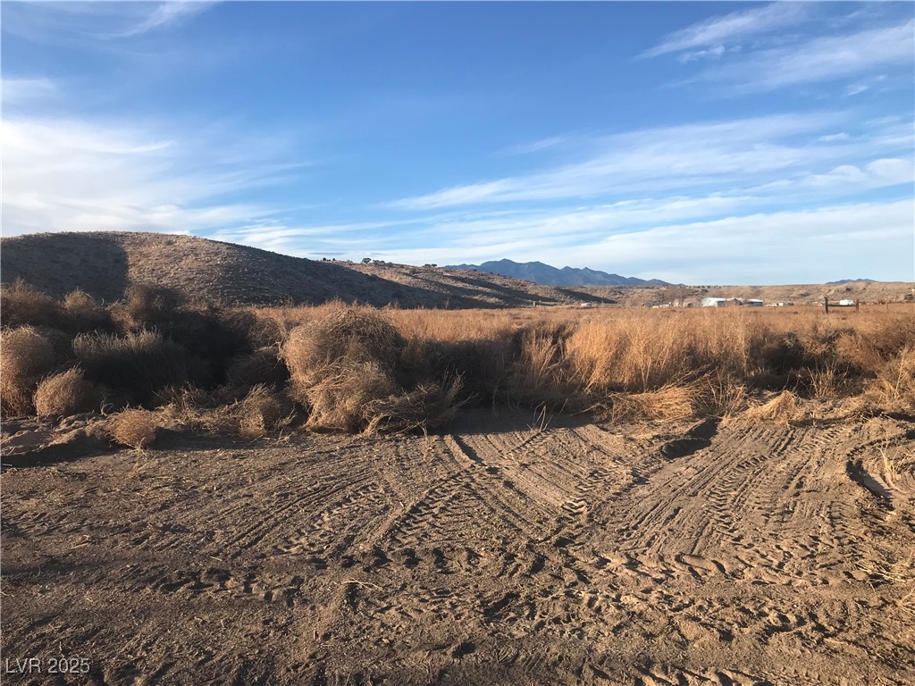 Quarter Horse Property Photo 4