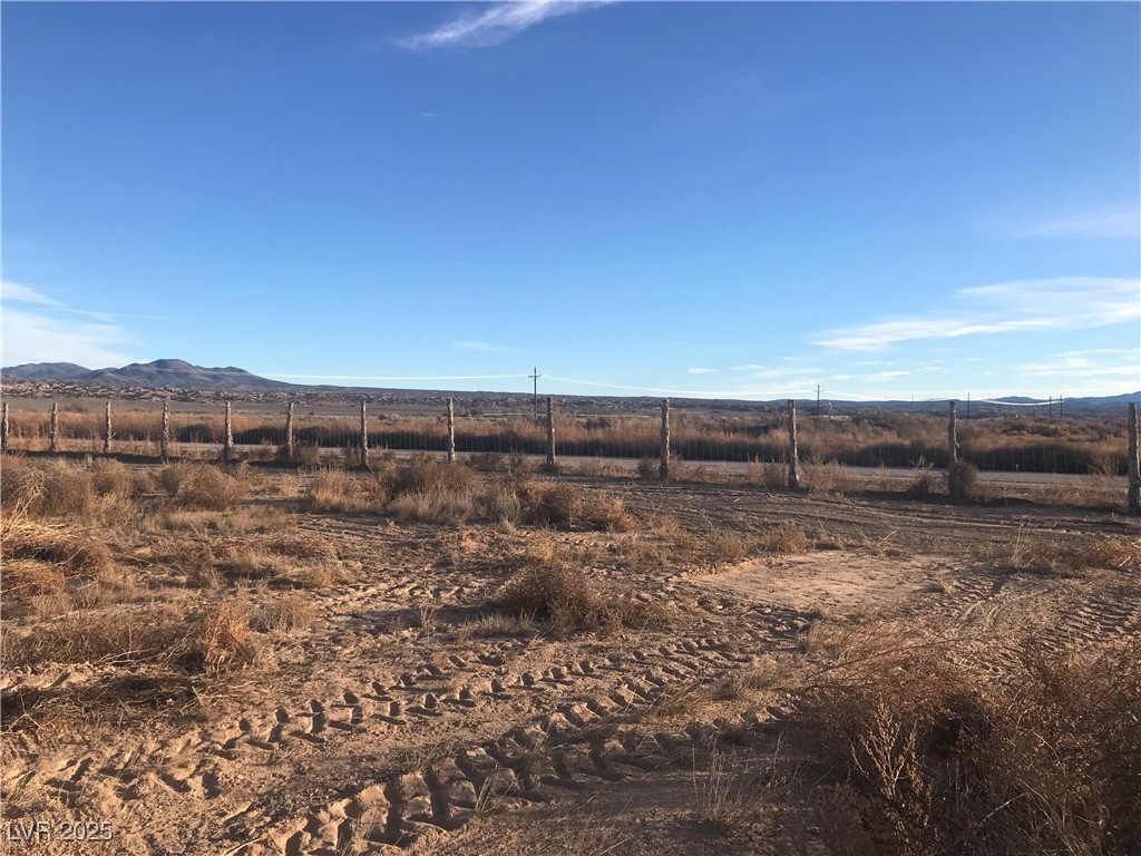 Quarter Horse Property Photo 13