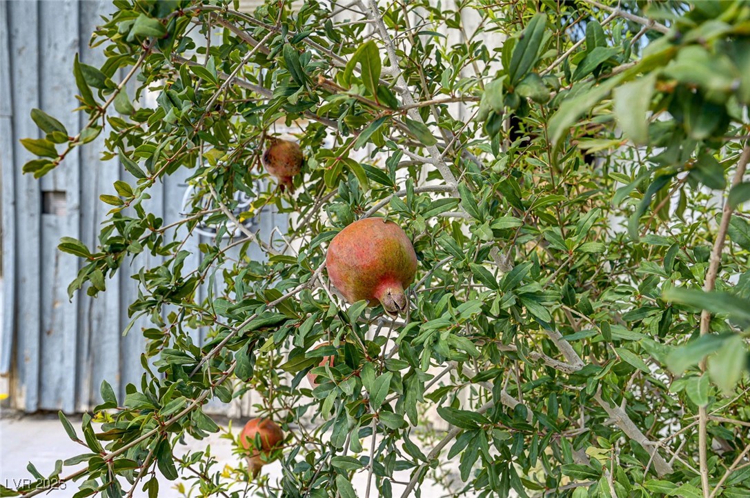 1405 East Bridger Avenue A Property Photo 37