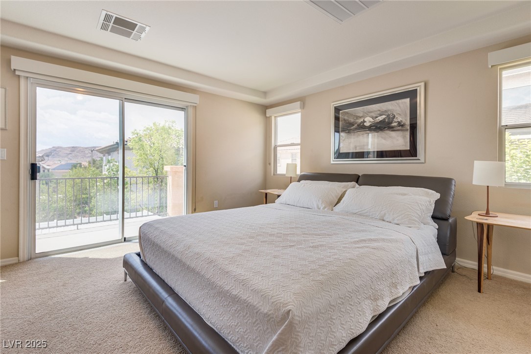 11425 Via Spiga Drive Property Photo 37