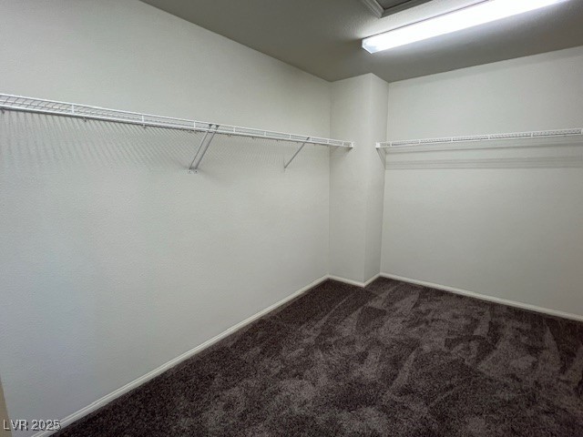 981 Soaring Moon Drive Property Photo 38