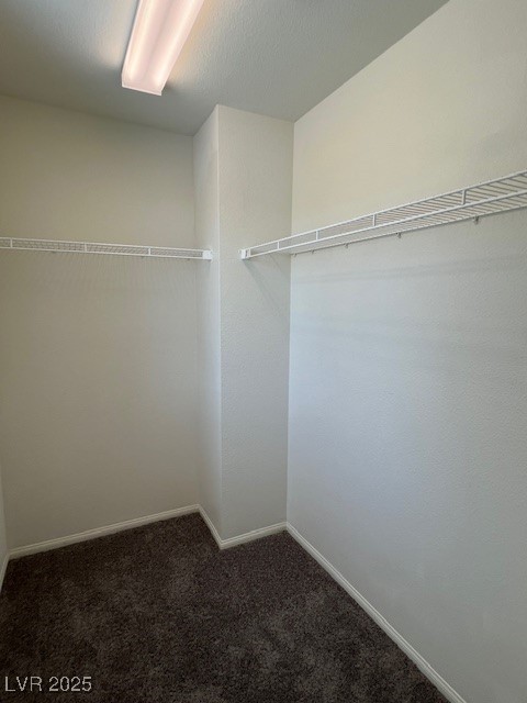 981 Soaring Moon Drive Property Photo 49