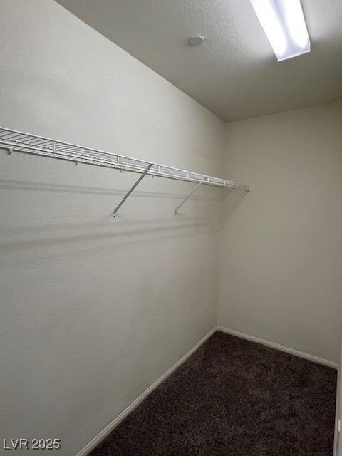 981 Soaring Moon Drive Property Photo 62