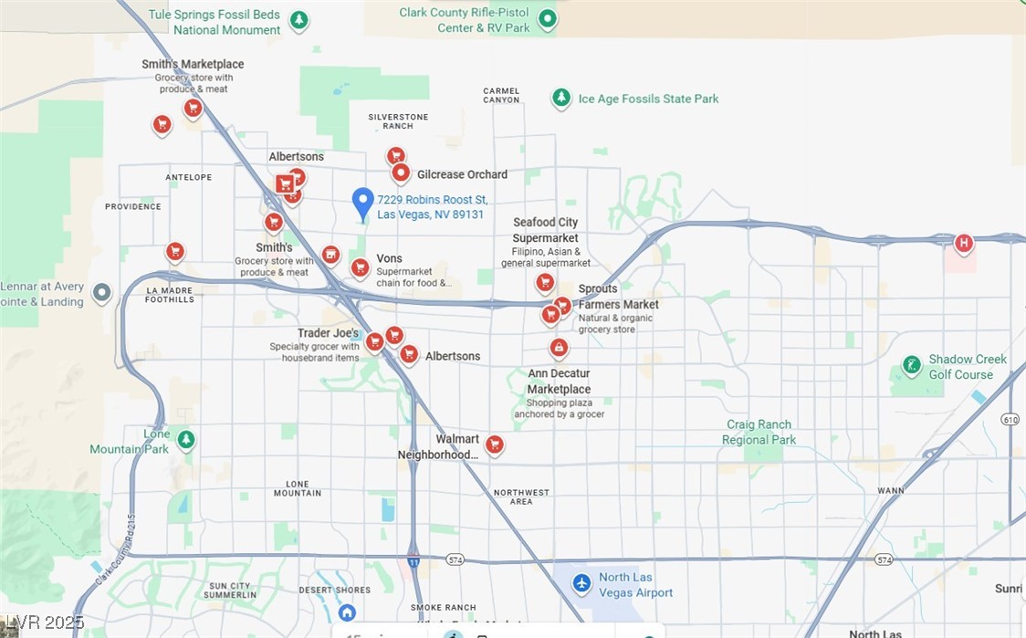 7229 Robins Roost Street Property Photo 41